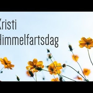 Opslagsbillede