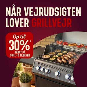 opslagsbillede