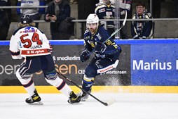 Blue Fox blev dukket af White Hawks
