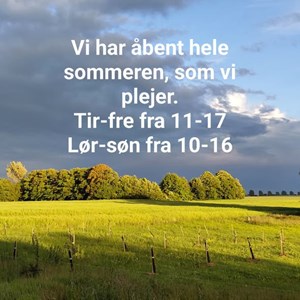 Opslagsbillede