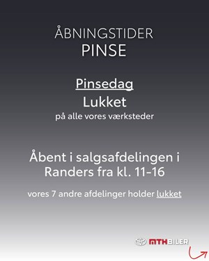 opslagsbillede