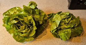 Friske jordbær og kartofler fra Jensen Jordbær gårdbutik i Sæby