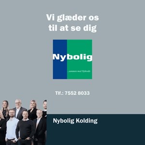 opslagsbillede