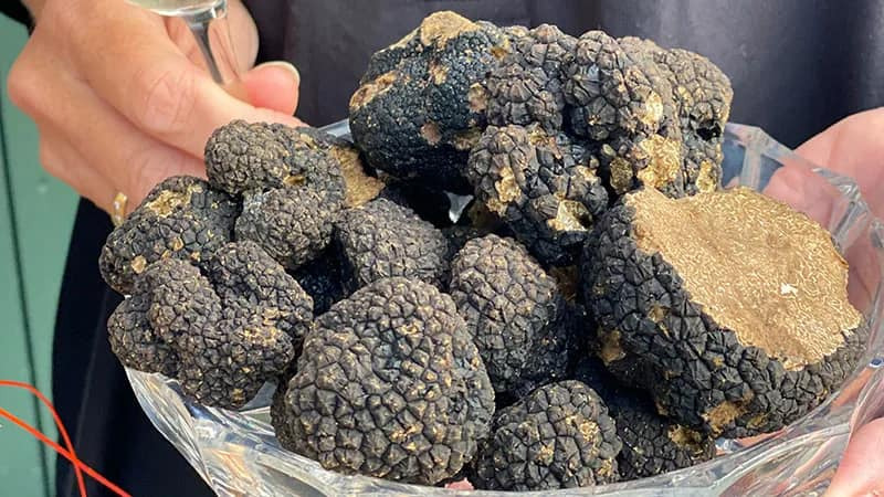 Opdatér dig her: Det nyeste fra Ikast