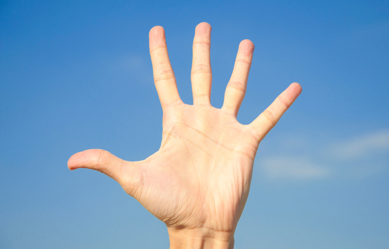 Silkeborg Kommune: 5 vigtige fra uge 7