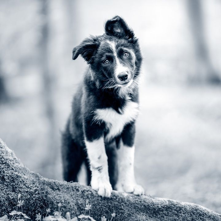 Opslagstavlen: Nyeste opdateringer fra Hjørring