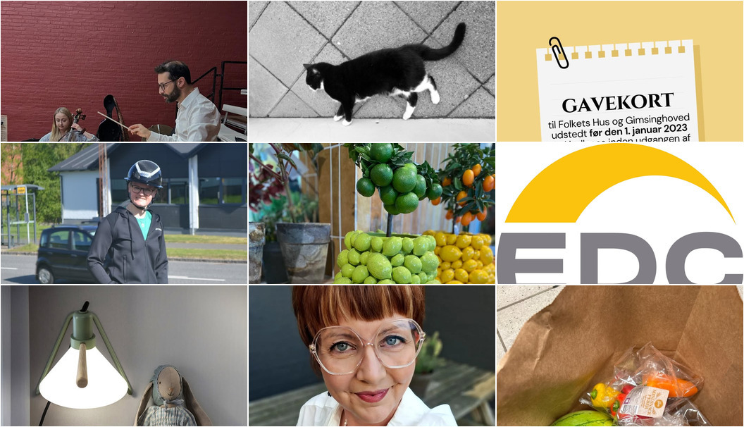 Nyt fra Lux By Jakobsen, Florist Pernille DB, Gimsinghoved og 6 andre