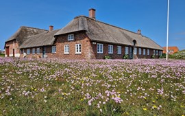 For 2,6  mio. kroner kan du nu få Holmsland Klitvej 117 - Se priserne på de dyreste boliger til salg i Hvide Sande