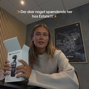 Opslagsbillede