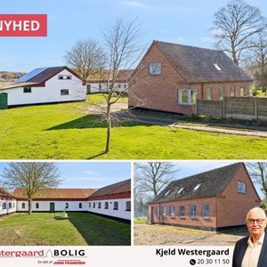 Opslagsbillede