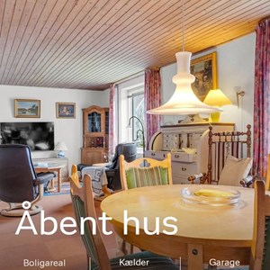 Opslagsbillede