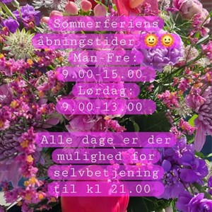 Opslagsbillede
