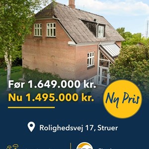 Opslagsbillede