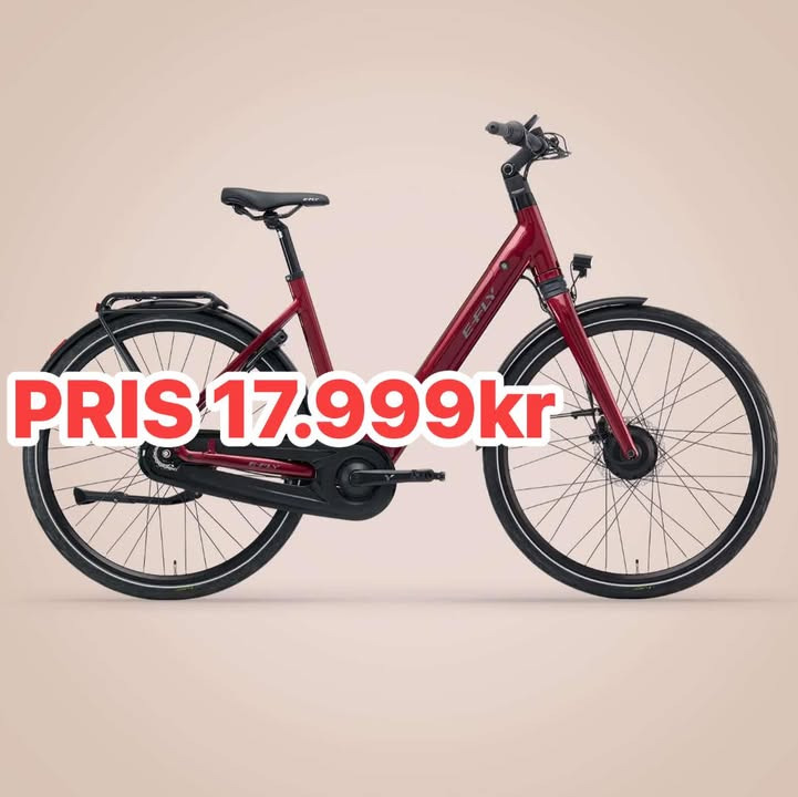 Møllers Cykel Shop præsenterer ORION med kraftfuld forhjulsmotor til cykelturen