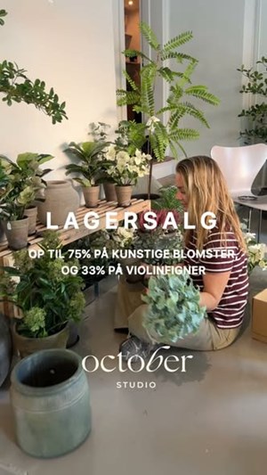 opslagsbillede