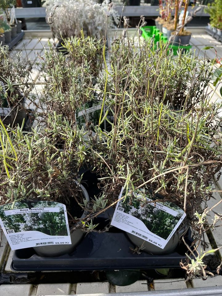 Opslagstavlen: Nyeste opdateringer fra Odder