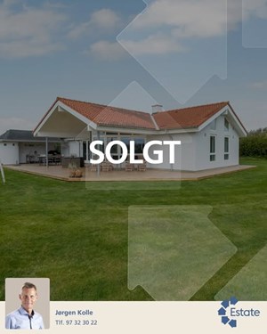 opslagsbillede