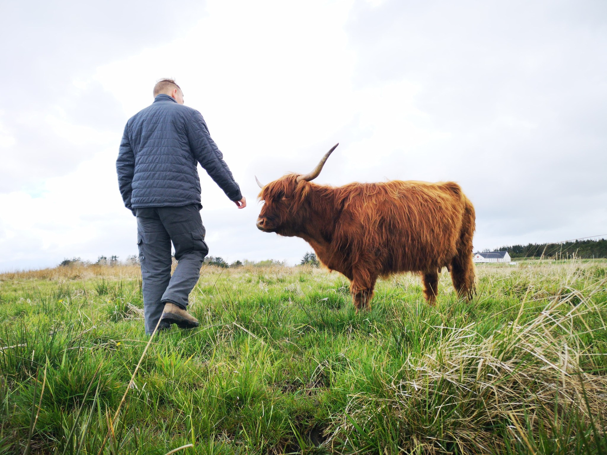 Lokale smagsoplevelser: Vendsyssel Fødevarer samler lokale skatte