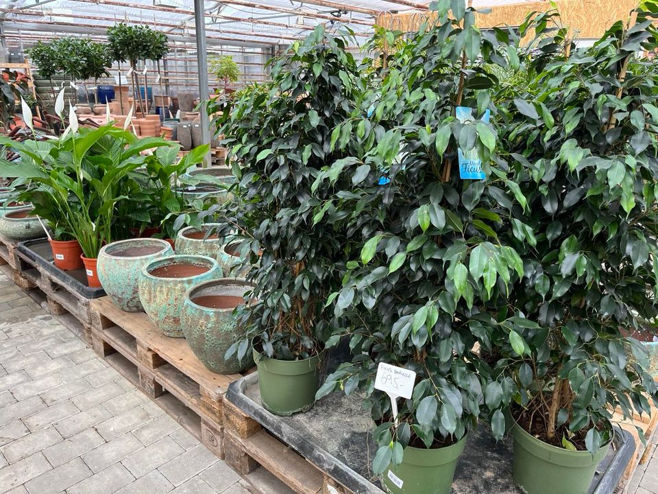 Nyt på opslagstavlen i Odder