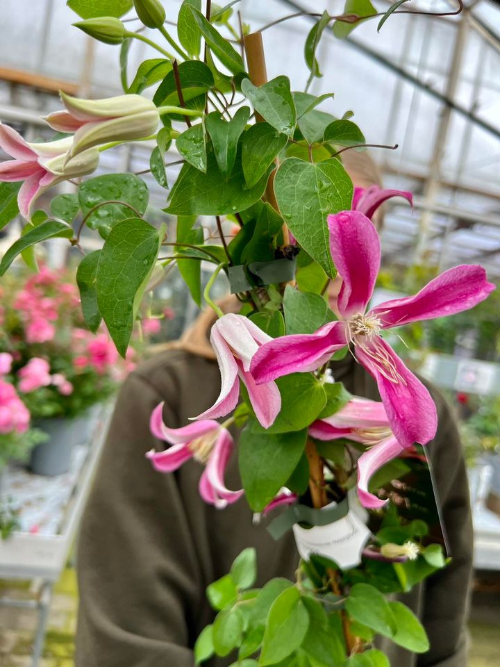 En finger på pulsen i Sæby