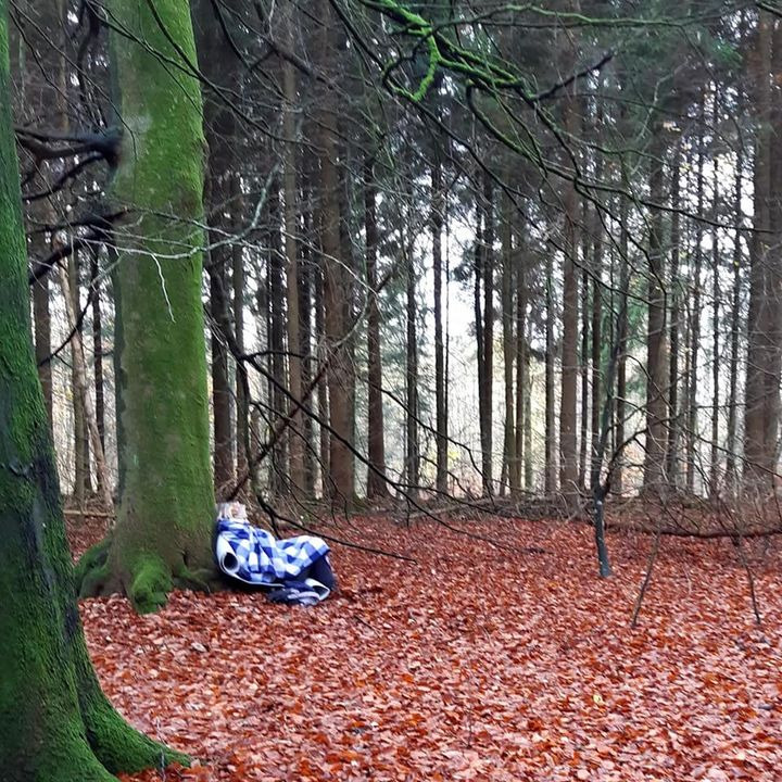 Det nyeste på Hammels opslagstavle