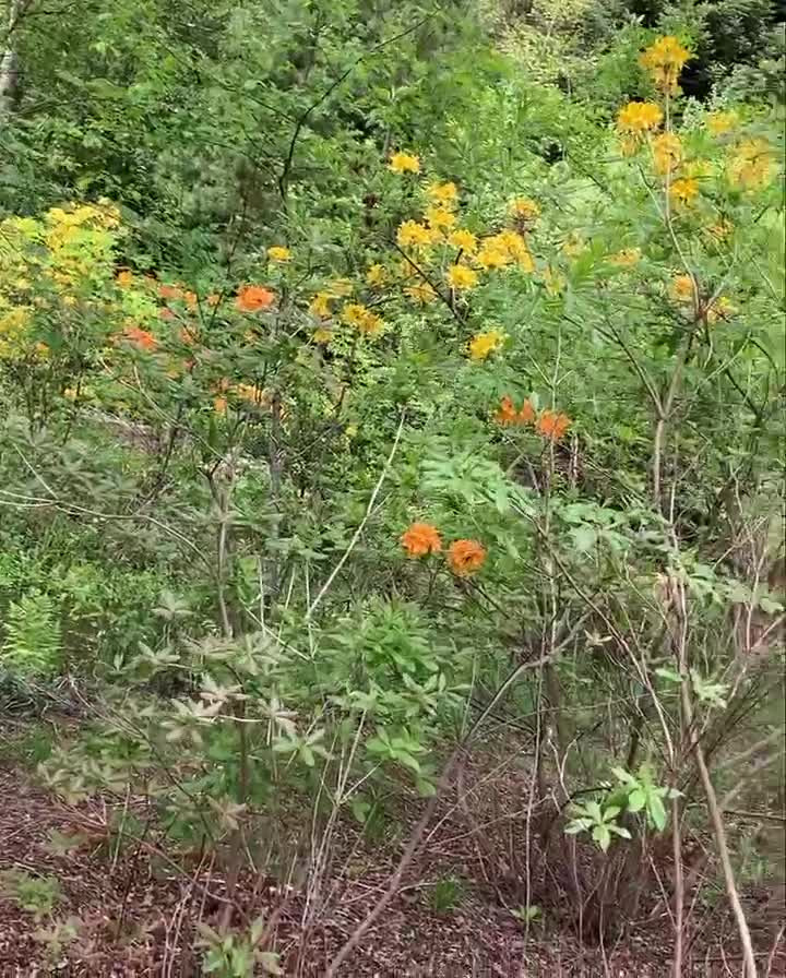 En finger på pulsen i Hobro