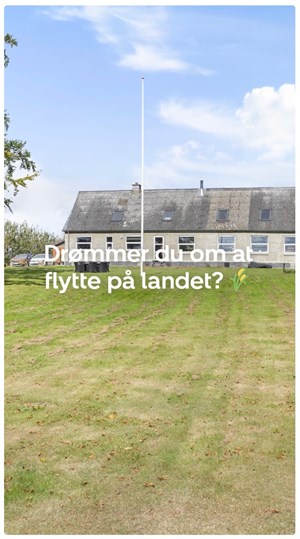 opslagsbillede