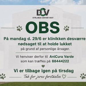 Opslagsbillede
