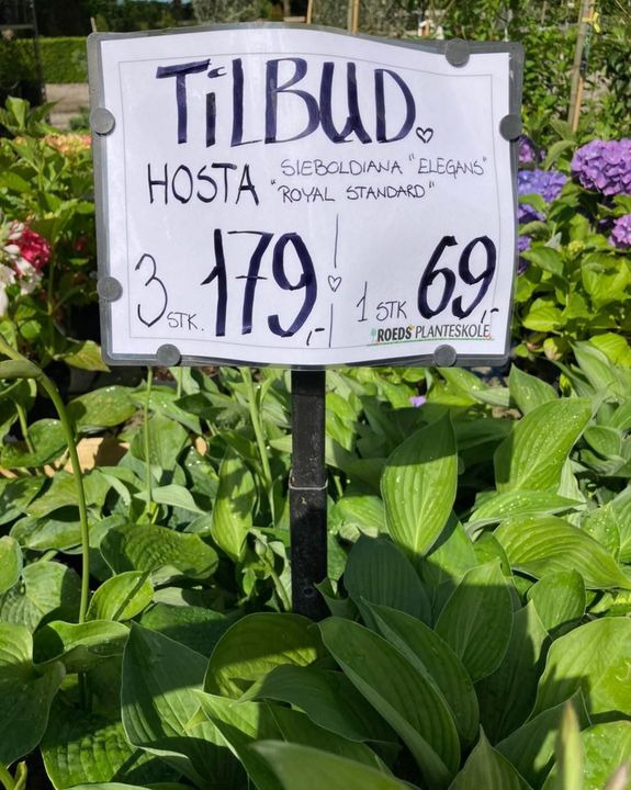 Det nyeste på Hobros opslagstavle