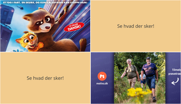 Fra hæsblæsende kæledyrseventyr til hyggelige gåture - Ugen i Toftlund byder på lidt af hvert