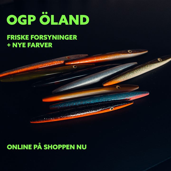 Hold dig ajour med dagens opdateringer fra Vejle