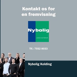 opslagsbillede