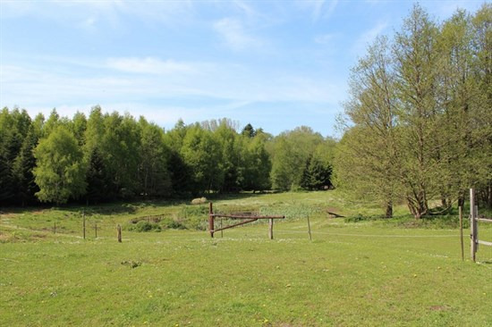 Luksusbolig netop kommet til salg i Hillerød: Se hvad du skal smide for Hillerøds dyreste adresser her