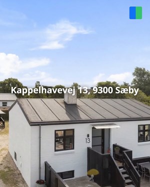 opslagsbillede