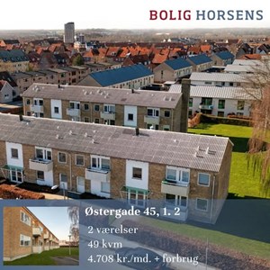 opslagsbillede