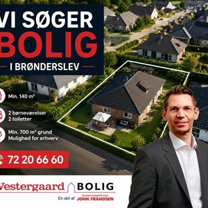 Opslagsbillede