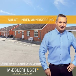 Opslagsbillede