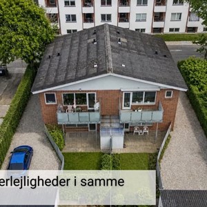 Opslagsbillede