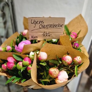 Opslagsbillede