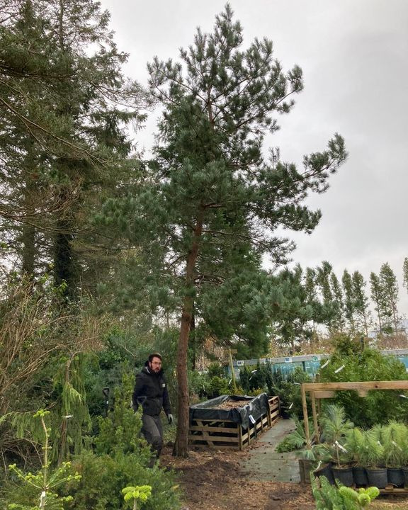 Hold trit med lokalområdet: Nyt fra Hobro