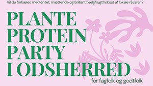 Planteproteinparty i Nykøbing Sj: En dag dedikeret til bælgfrugter