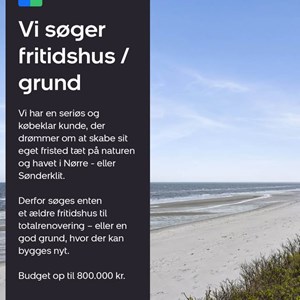 Opslagsbillede