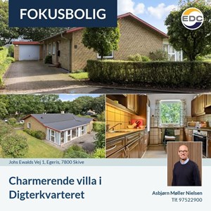 Opslagsbillede