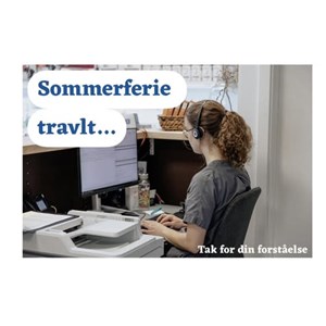 Opslagsbillede