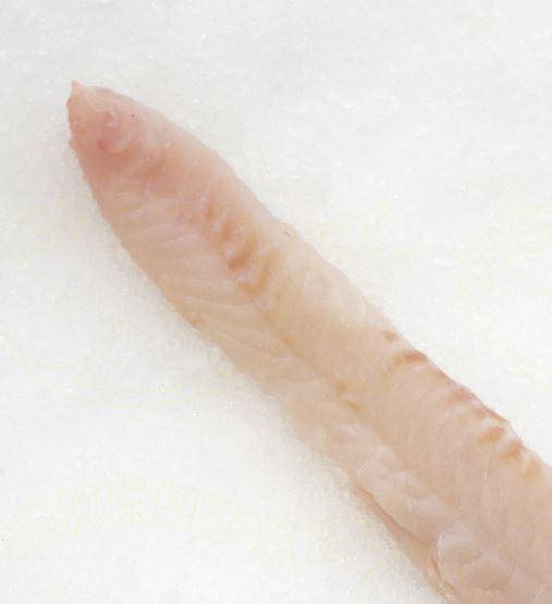 Risskov Torvet præsenterer dagens udvalg fra BORGS FiSKEHANDEL