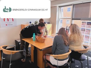 opslagsbillede