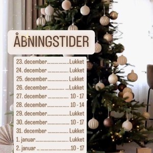 Opslagsbillede