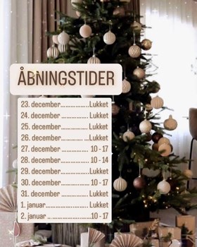 Opslagsbillede