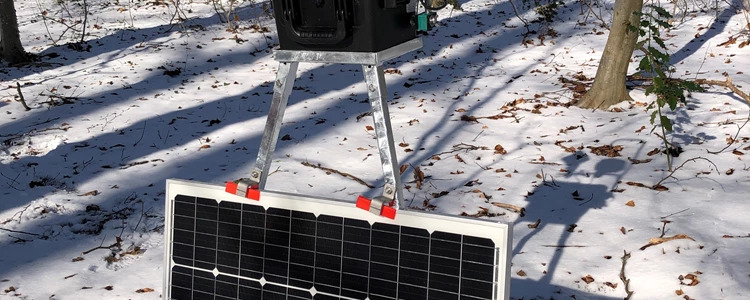 To robotter skal skræmme rågerne væk i byens parker