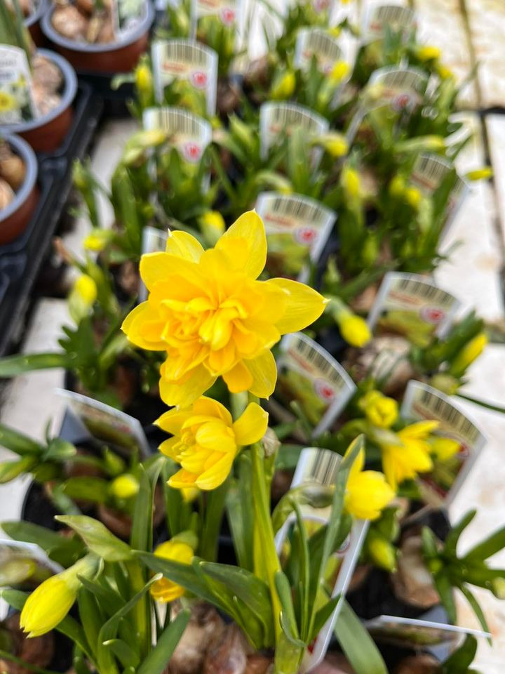 Se dagens updates fra Horsens her